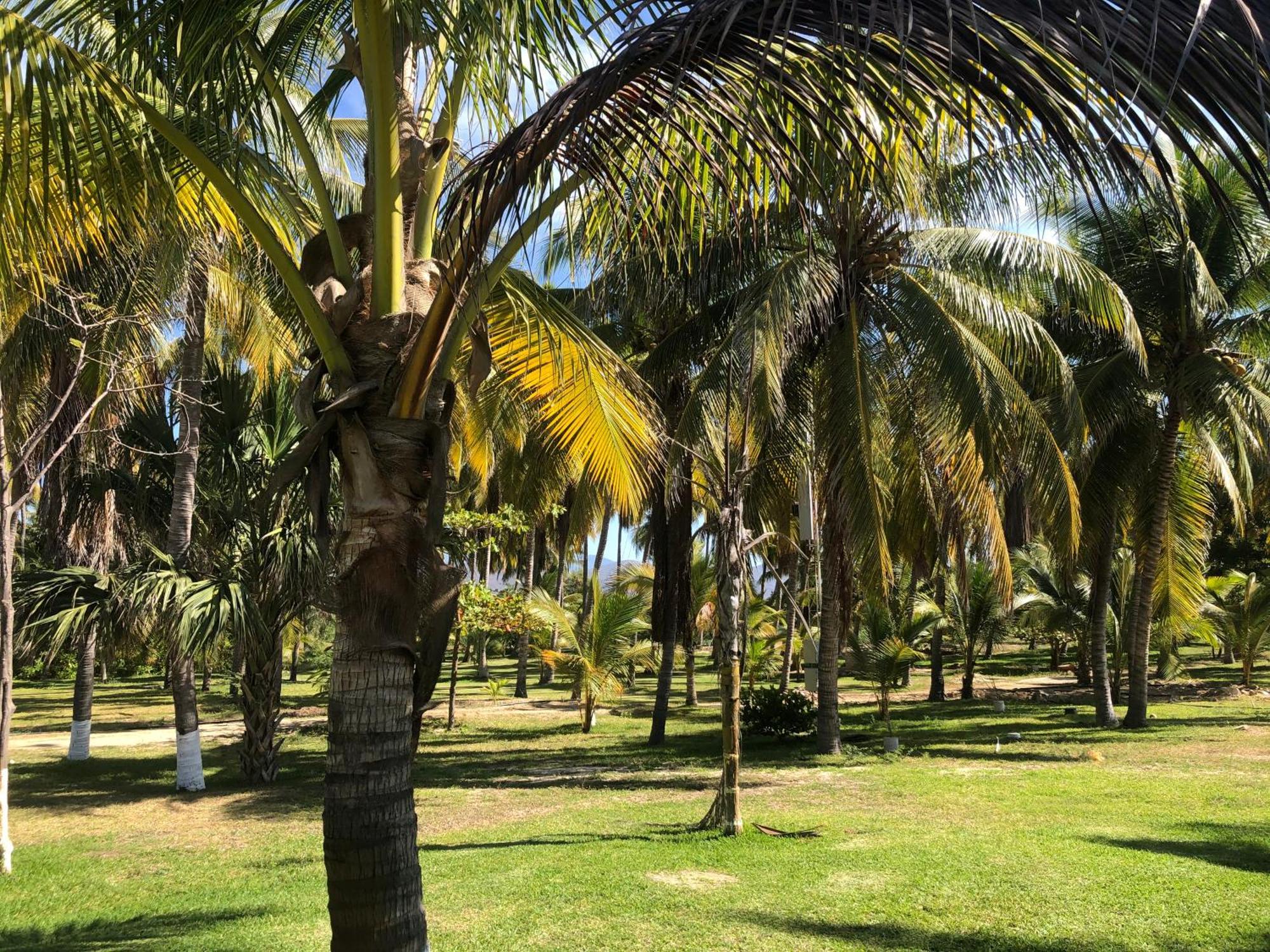 Casa Kundavi Beach Front Paradise Recado Ngoại thất bức ảnh
